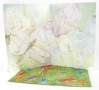 Dragonfly Card