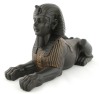 Androsphinx