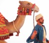 Camel Walking with Bedouin