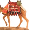 Camel Walking with Bedouin