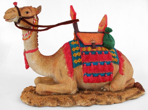 Camel Kneeling
