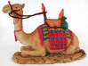 Camel Kneeling