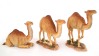 Camel Set of 3