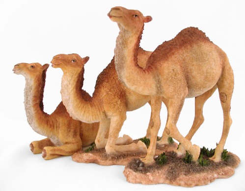 Camel Set of 3