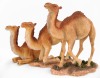 Camel Set of 3
