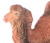 Double Hump Camel Set