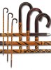 Belly Dance Cane