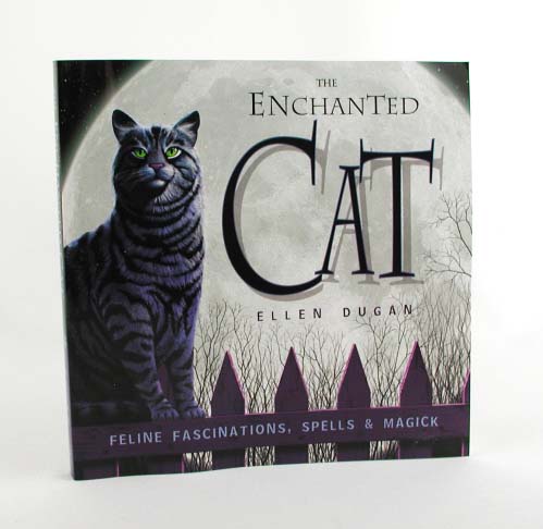 Enchanted Cat