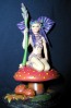 Fairy Gift Package