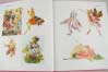 500 Fairy Motifs