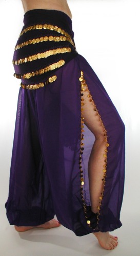 Chiffon Belly Dance Harem Pants