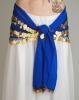 Belly Dance Hip Scarf, Large and Small Coins