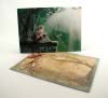 Longing with Fairies Greeting Card