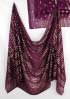 Belly Dance Veil with Gold or Silver Accents