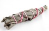 Baby White Sage Bundle