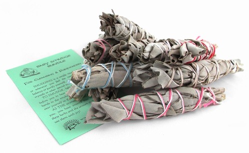 Baby White Sage Bundle