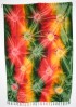 Green Rainbow Sarong