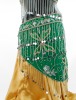 Belly Dance Sequin Hip Scarf