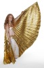 Belly Dance Isis Wings